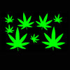 420 Glow Green Body Stickers - Sasswear